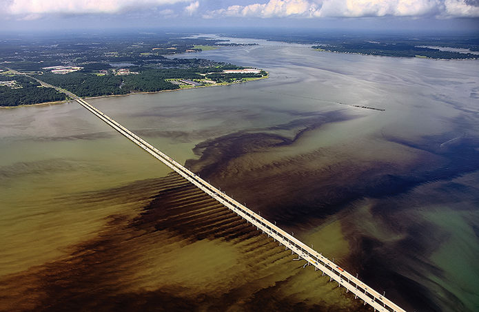 Algae bloom in James River